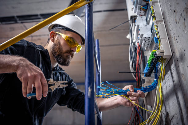 Best Licensed Electrician  in Cannon Falls, MN