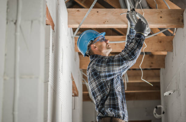 Best Residential Electrician Services  in Cannon Falls, MN