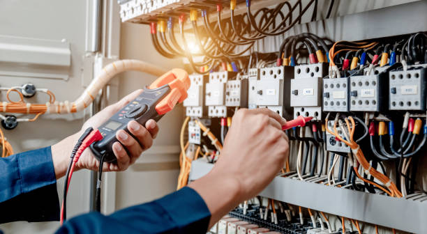 Best Electrical System Inspection  in Cannon Falls, MN