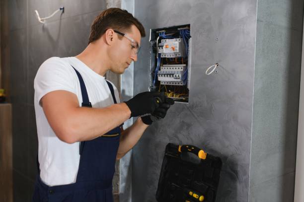 Best Affordable Emergency Electrician  in Cannon Falls, MN