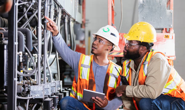 Best Home Electrical Repair  in Cannon Falls, MN
