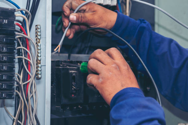 Best Electrical Wiring Services  in Cannon Falls, MN