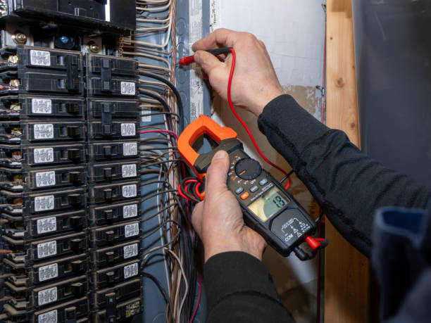 Best Local Electrician Companies  in Cannon Falls, MN