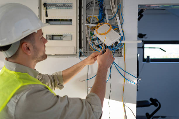 Best Electrical Upgrades for Homes  in Cannon Falls, MN